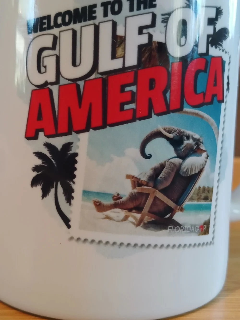 Welcome To The Gulf of America White Ceramic Coffee Mug Cup USA HF COORS